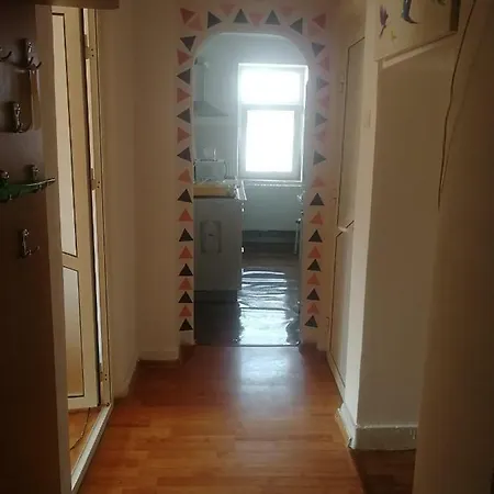 The Cozy 那沃达利